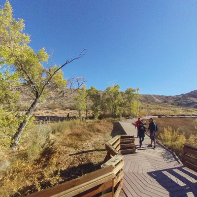 Walking Trail (Left Side)