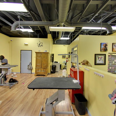 Pet Grooming Area
