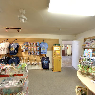 Gift Shop Cashier Counter