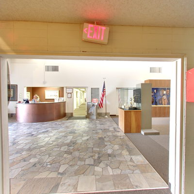 Preserved Birds Gallery