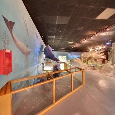 Prehistoric Life Gallery Entrance