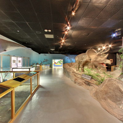 Prehistoric Life Gallery