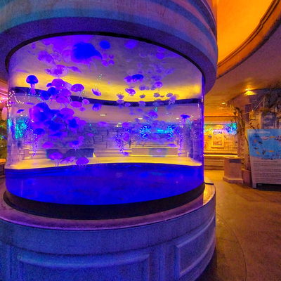 Aquarium