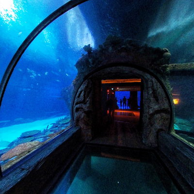 Aquarium