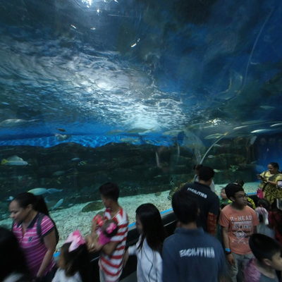 Oceanarium