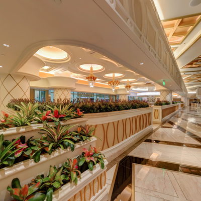 Chinese Cuisine Buffet