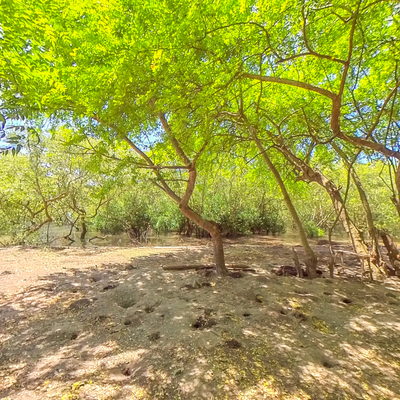 Horseback Riding Area