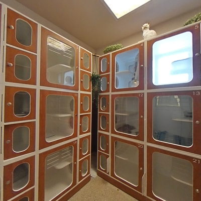 Cat Boarding Room