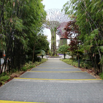 Way to Supertree Grove