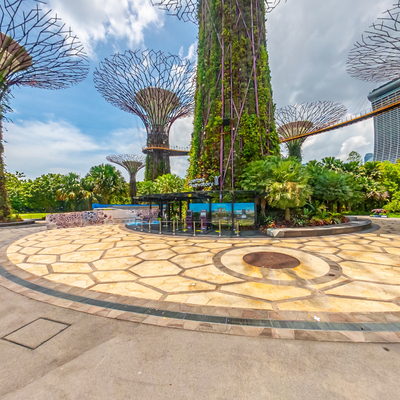 Supertree Grove at Day