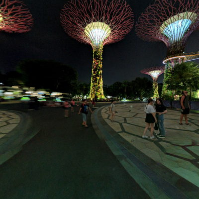 Supertree Grove at Night