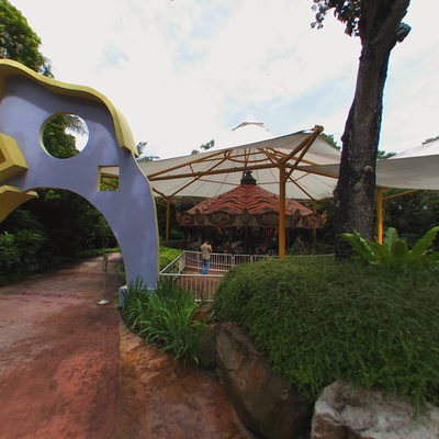 Rainforest Kidzworld