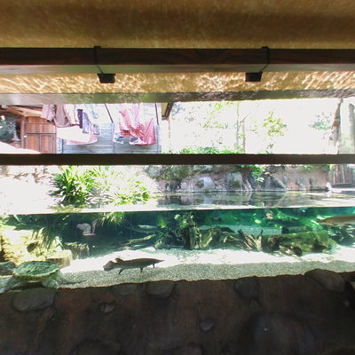 Nile River Attraction