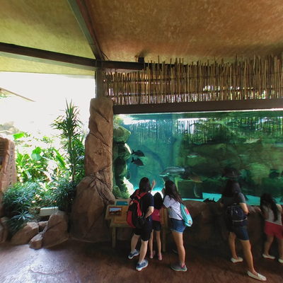 Nile River Attraction