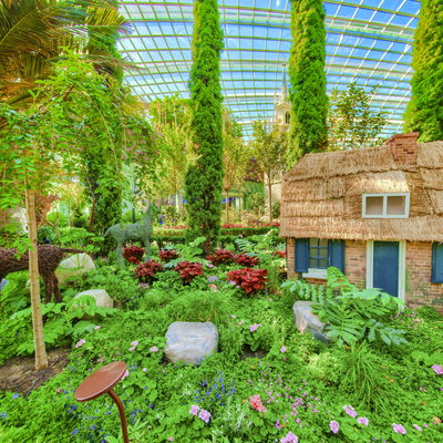 South American Garden