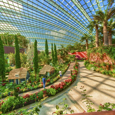 South African Garden