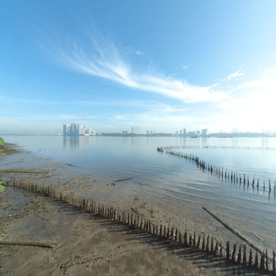 Mangrove Boardwalk