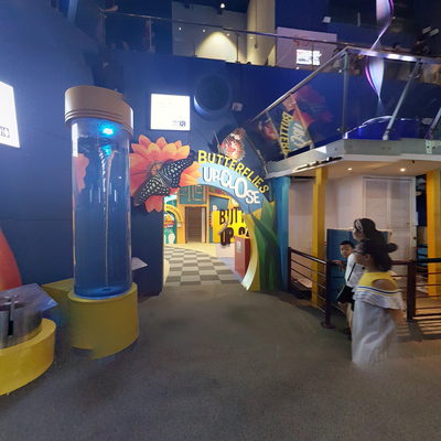 Electronic Musical Tesla Coil Display