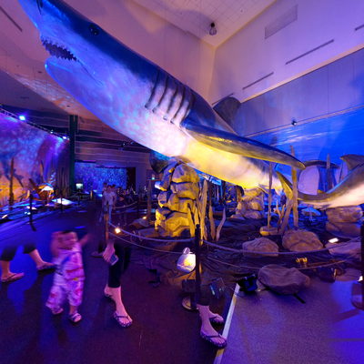 Earth Alive Exhibition