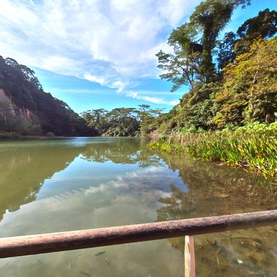 View Deck (Right Side)