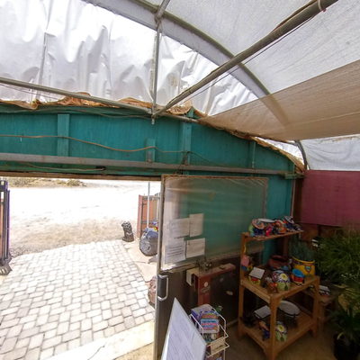 Souvenir Shop/Cactus Display