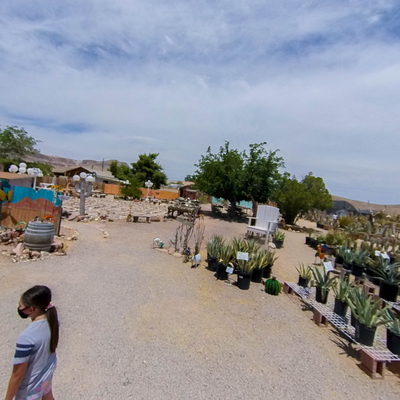 Cactus Garden