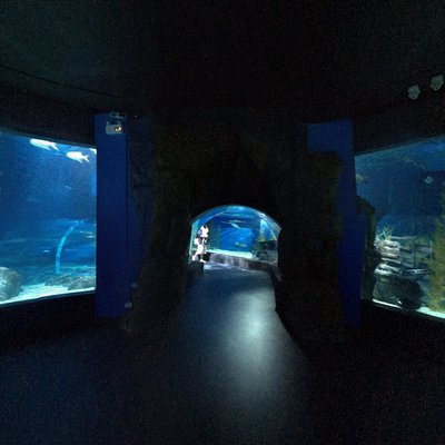 Aquarium