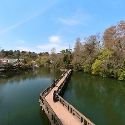 Inokashira Pond