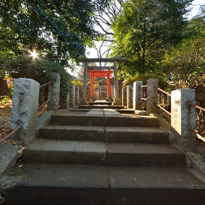 Torii 2