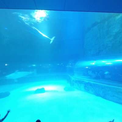 Aquarium