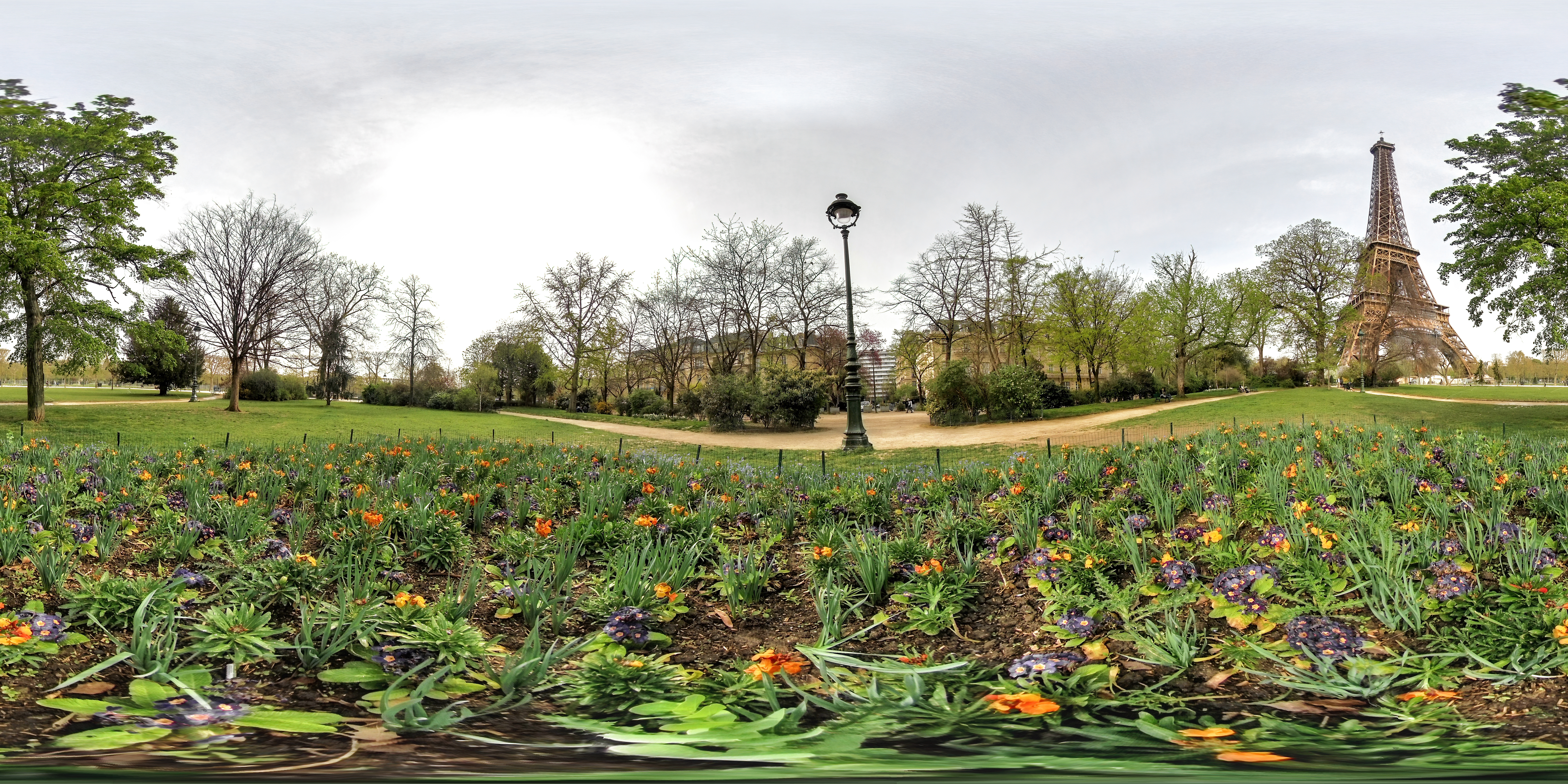 View from the Garden