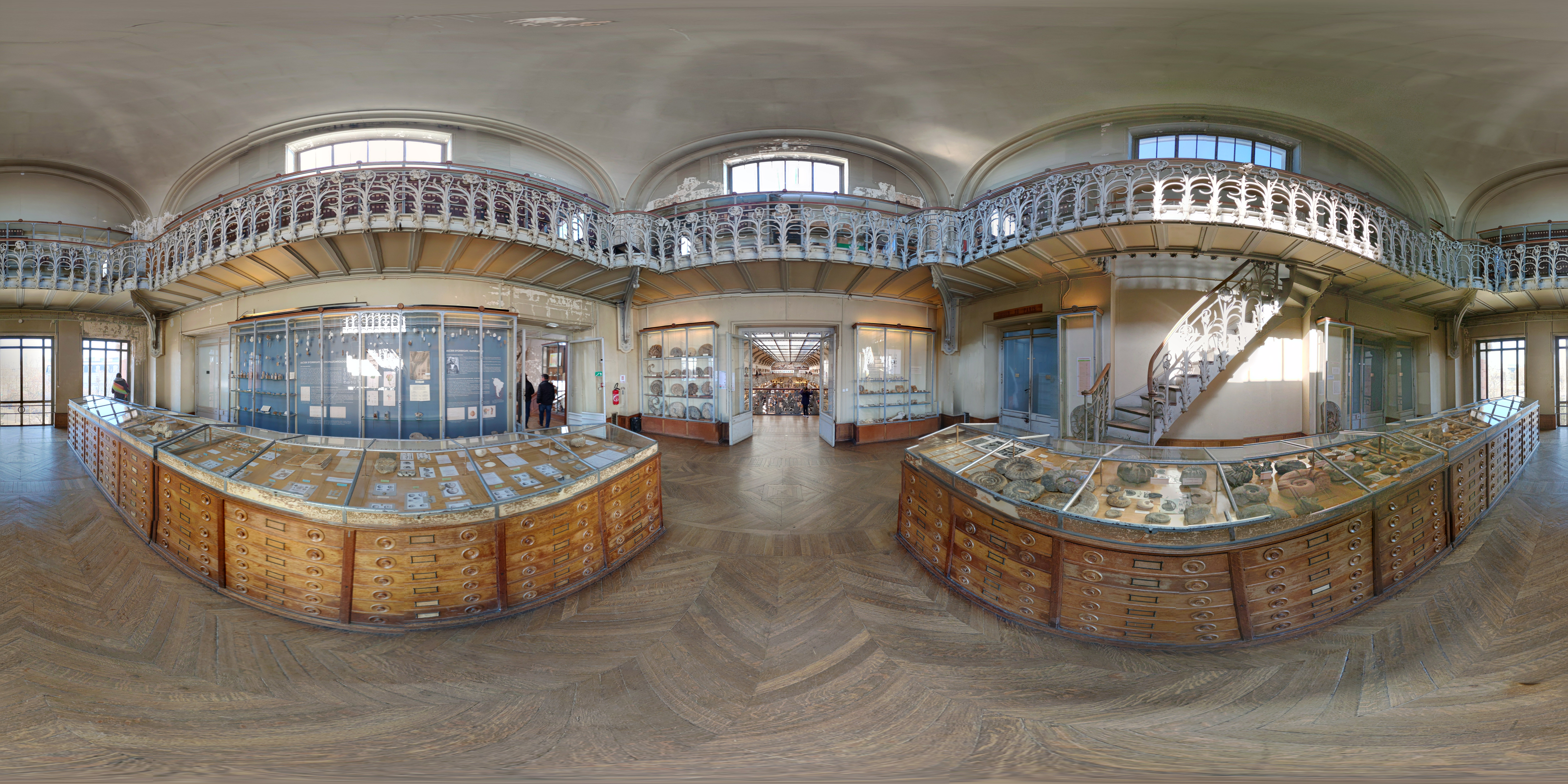 Paleontology & Comparative Anatomy Gallery 4