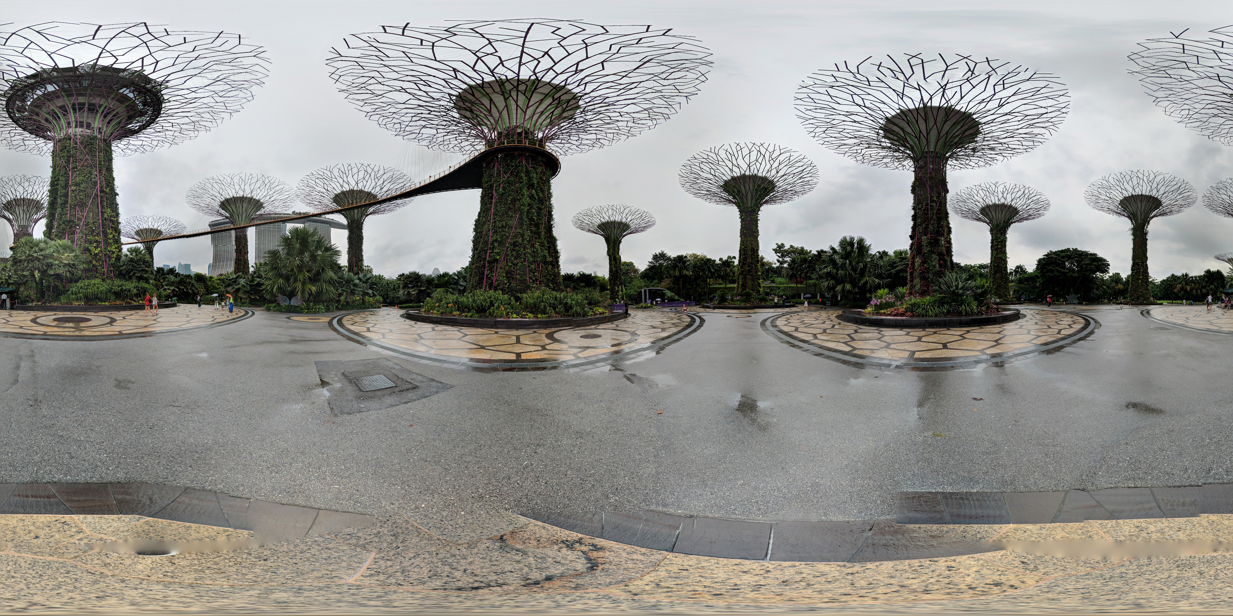 Future Forest Structures