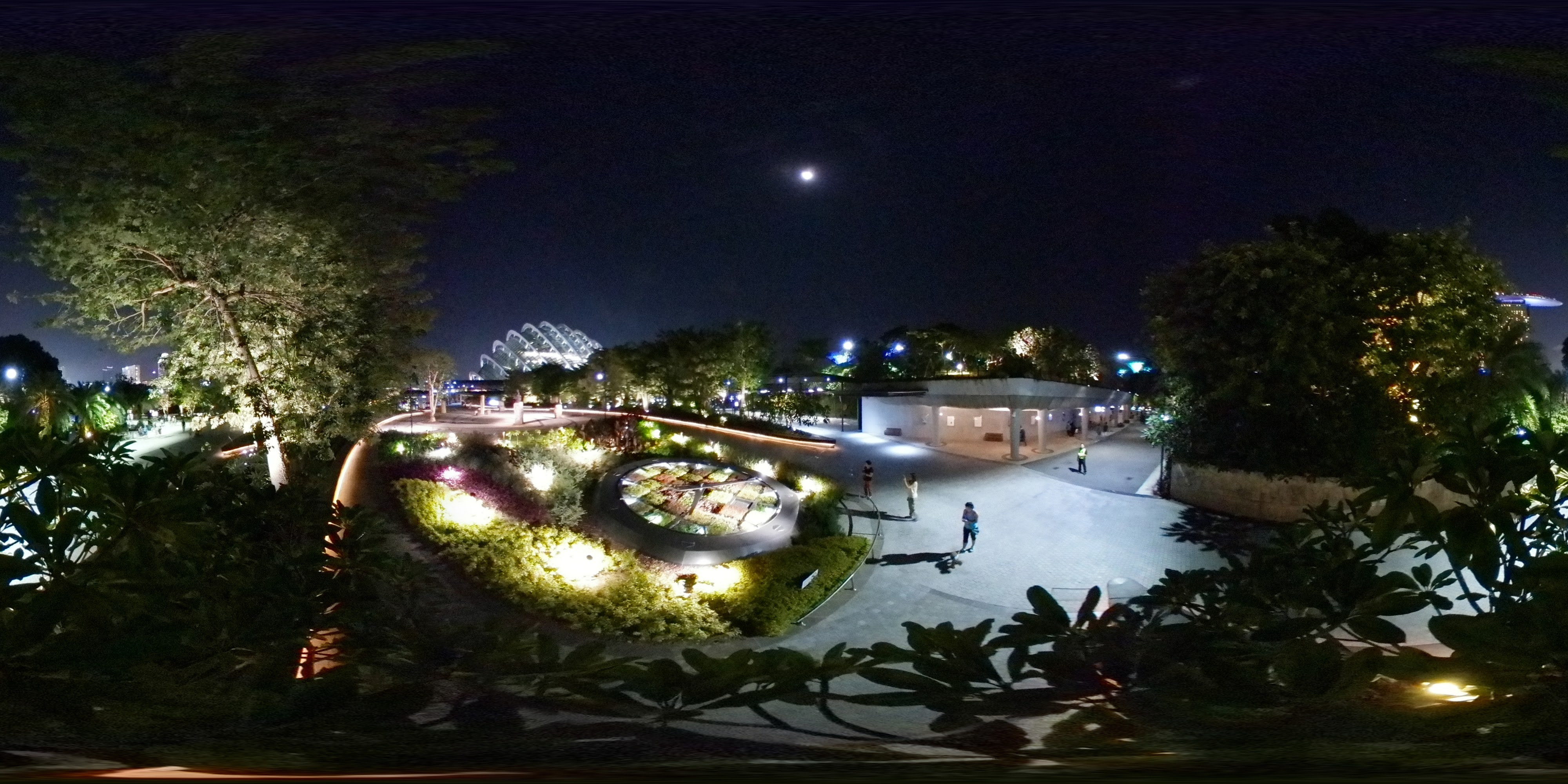 Night Garden and City Lights