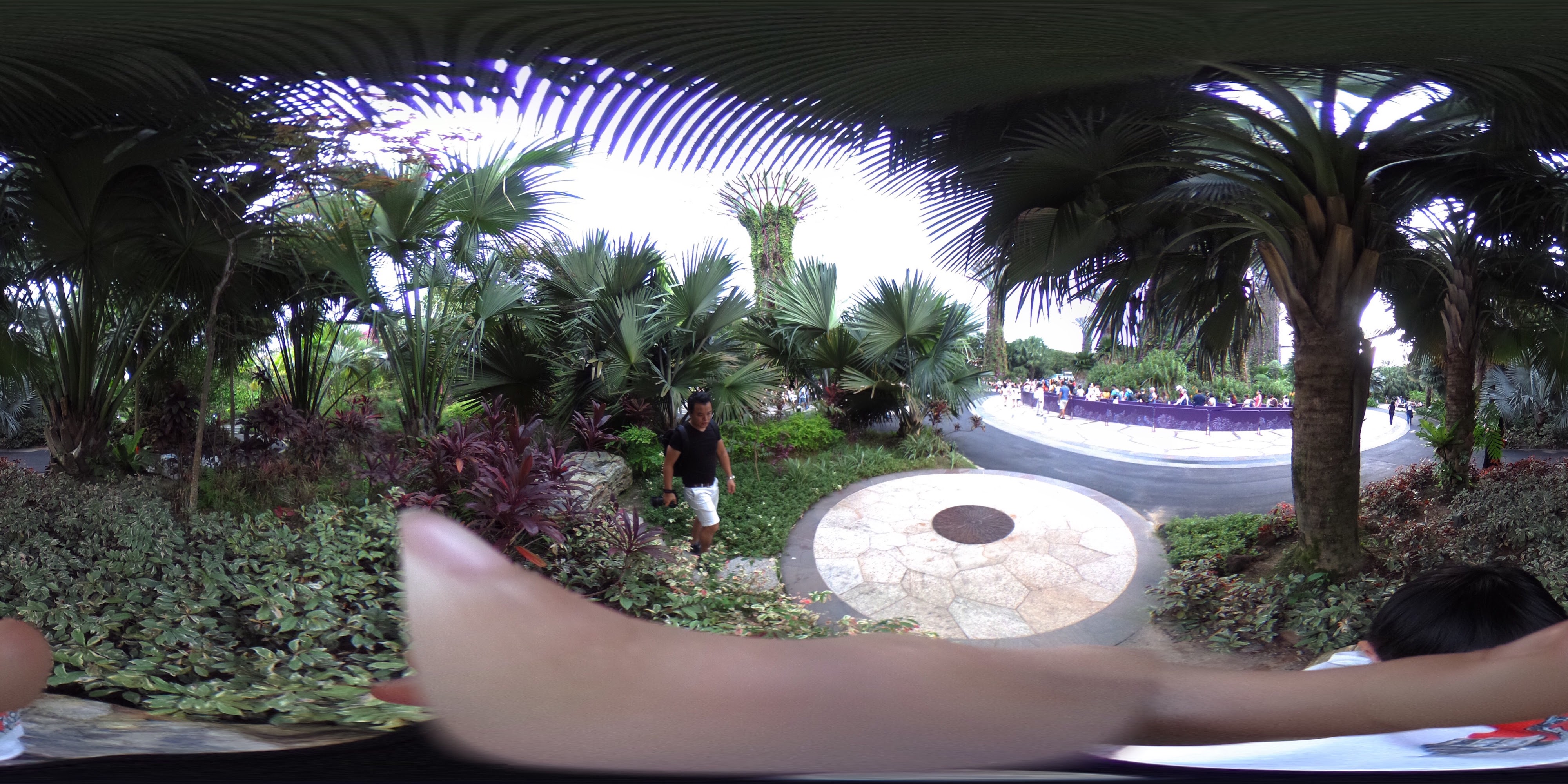 Tall Gardens with Pedestrian Paths