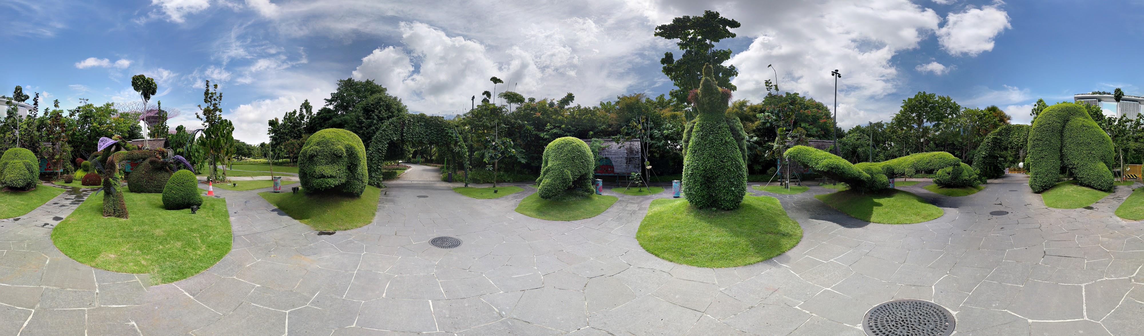 Lush Sculptured Greenery Creed