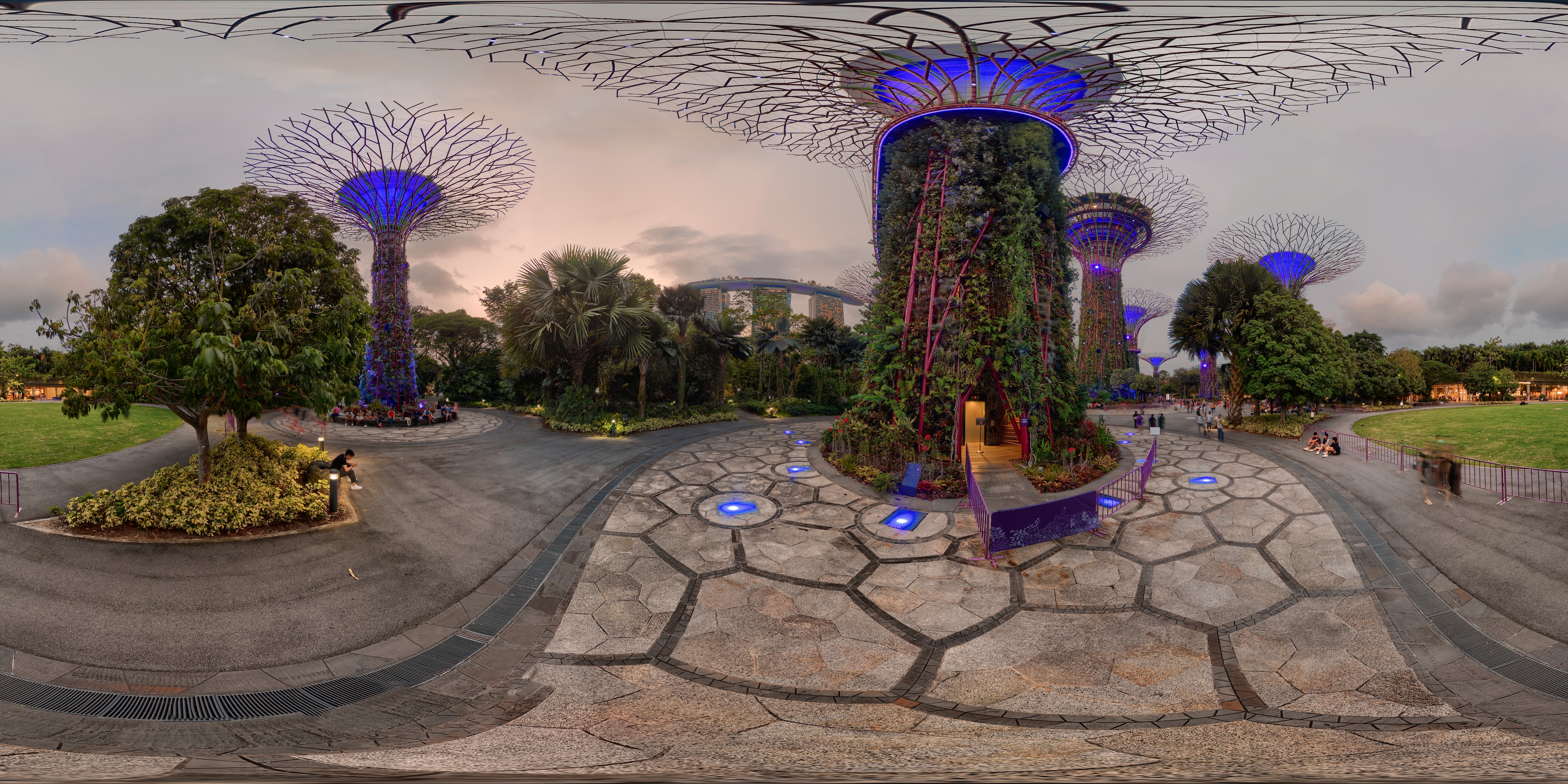 Illuminated Nature Structures