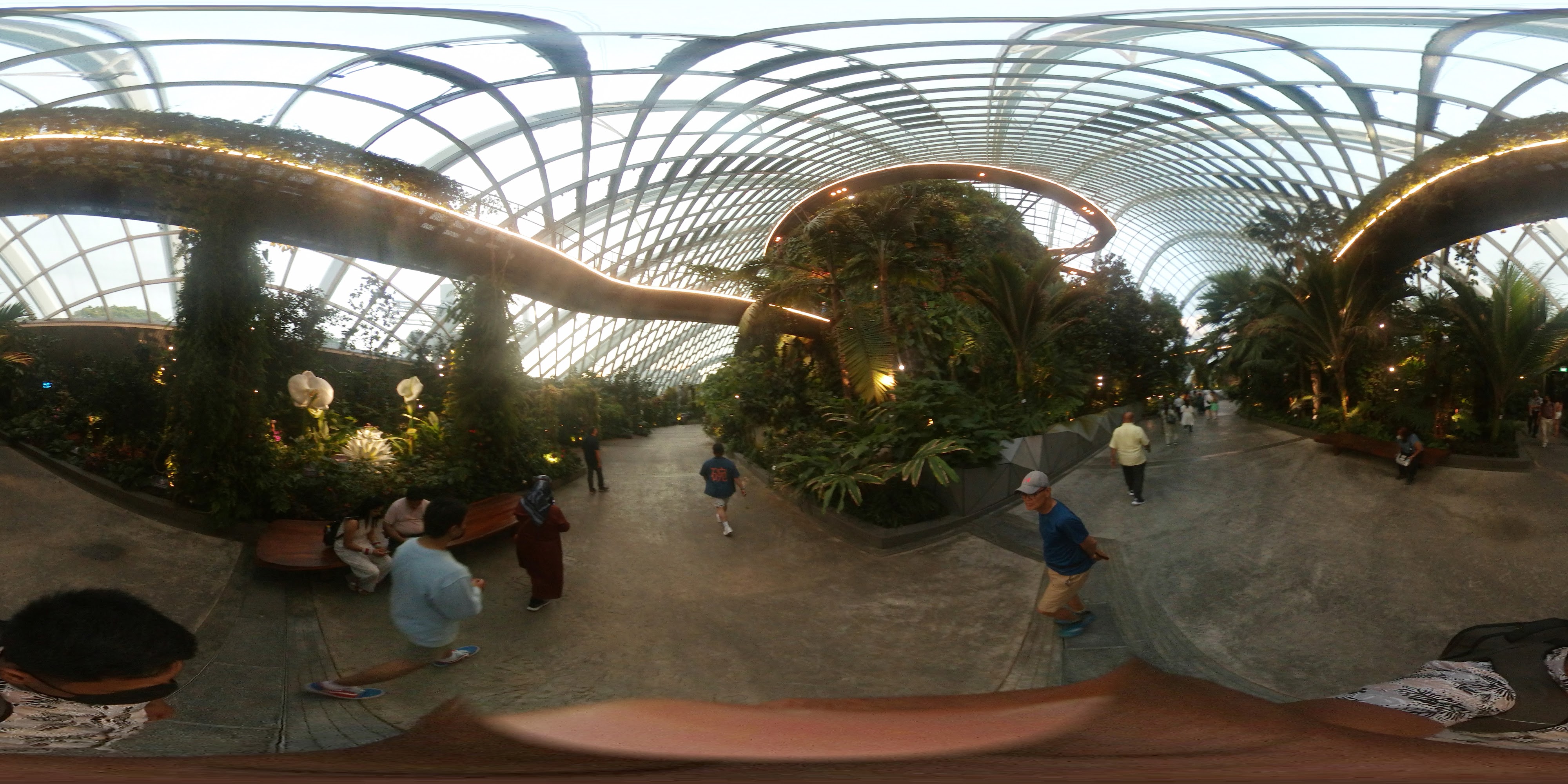 Lush Indoor Botanical Conservatory