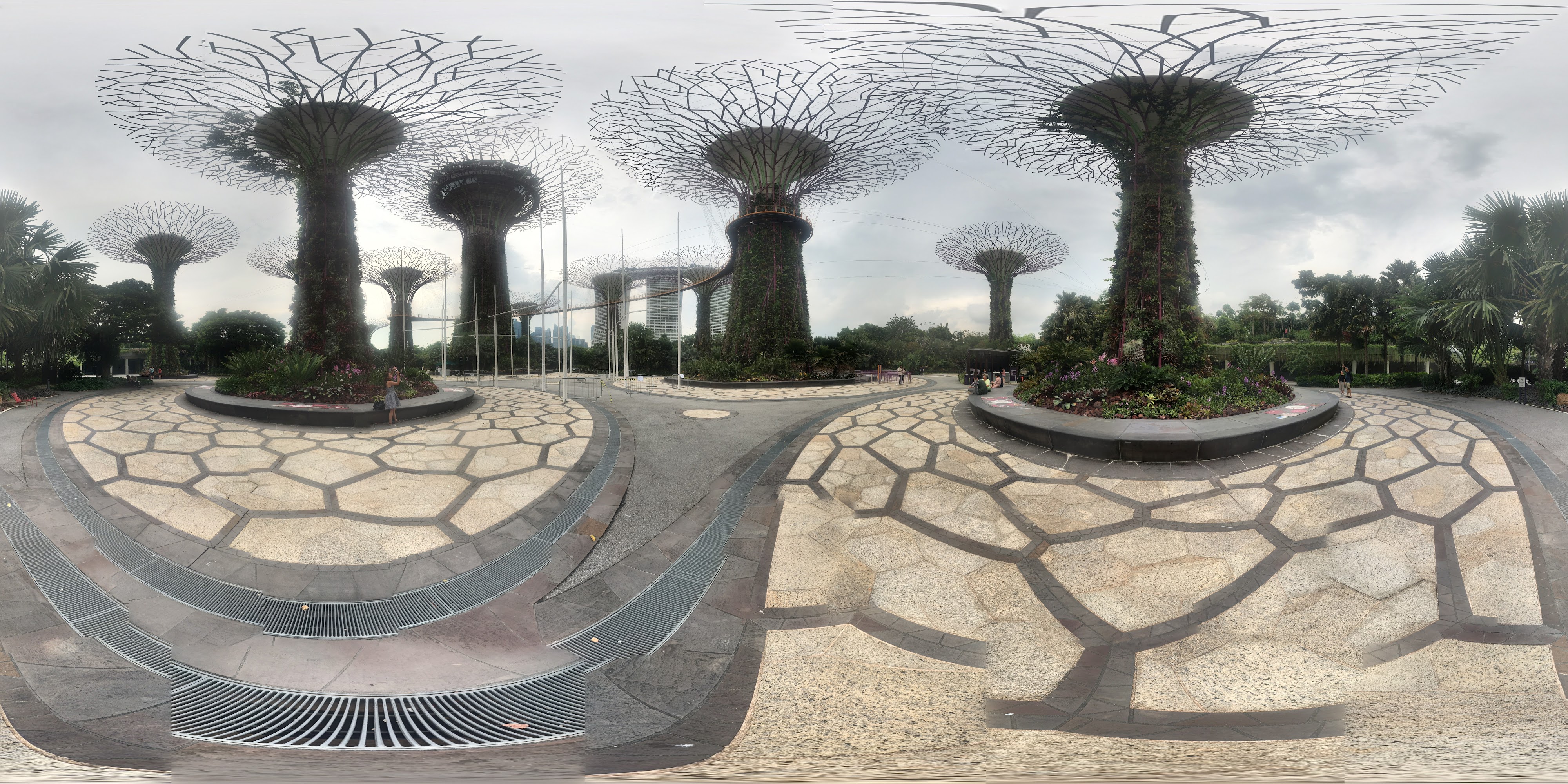 SuperTree Grove Landscape