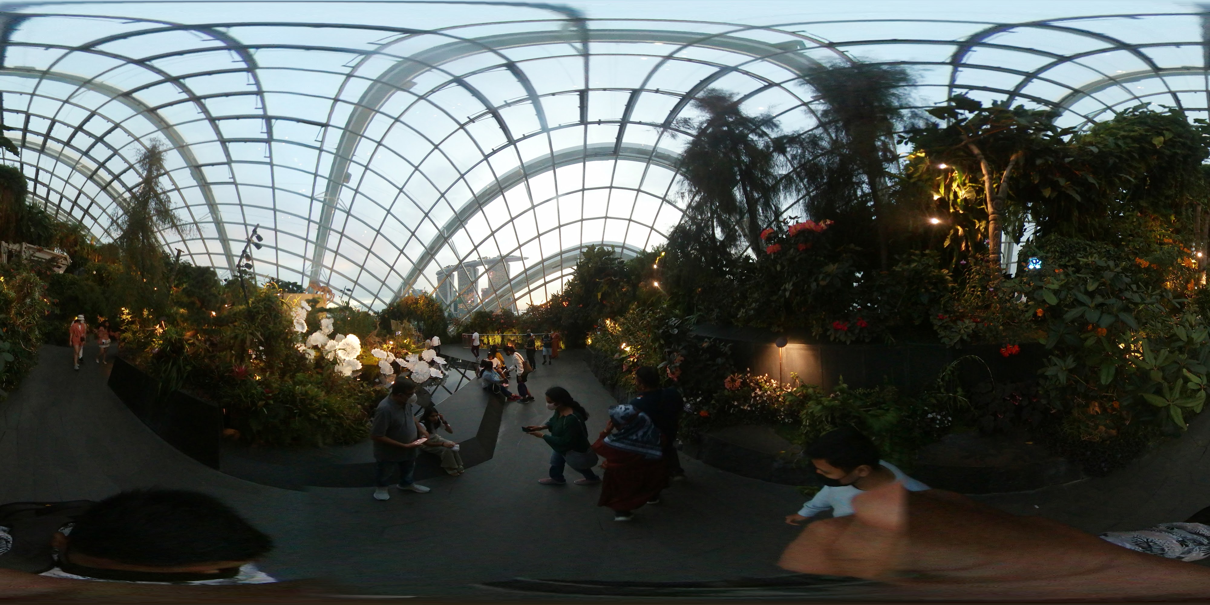 Lush Conservatory Entrance