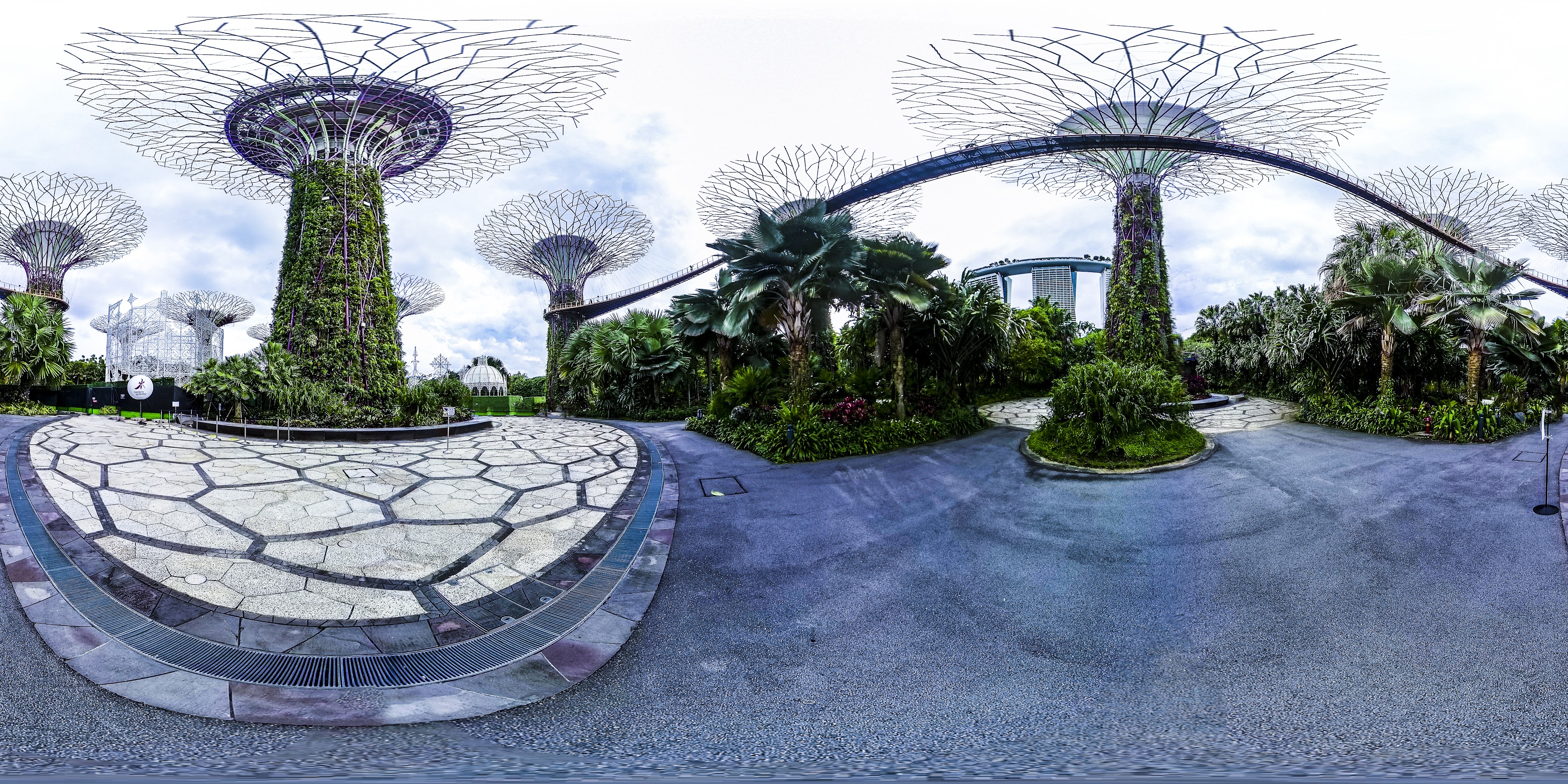 Tall Vertical Gardens Surround Path