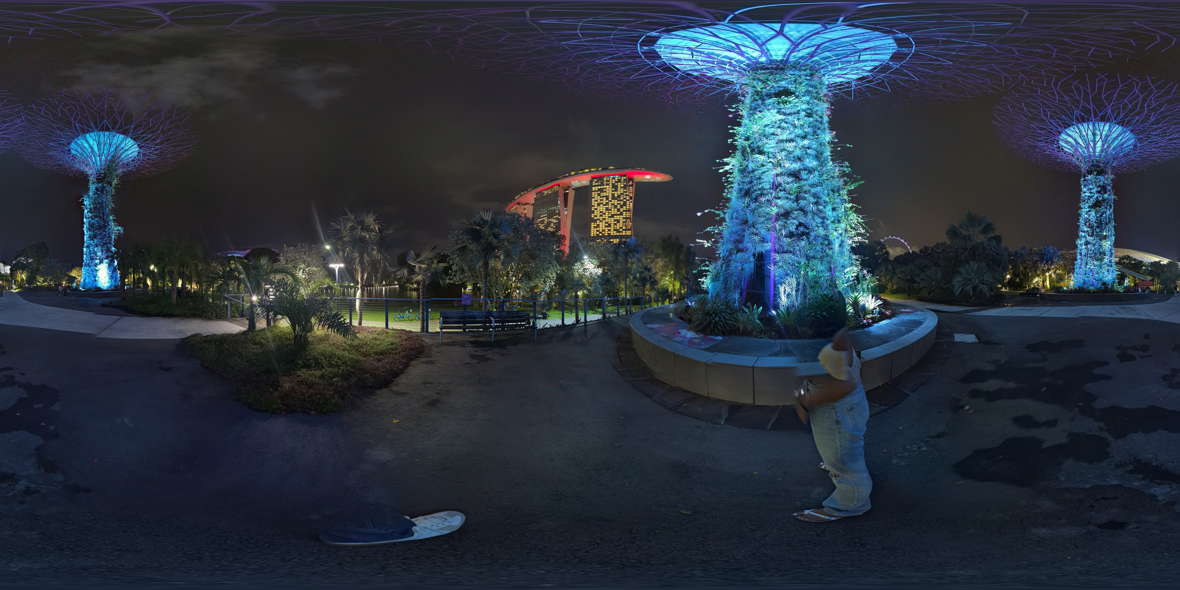 Illuminated Night Garden Beauty