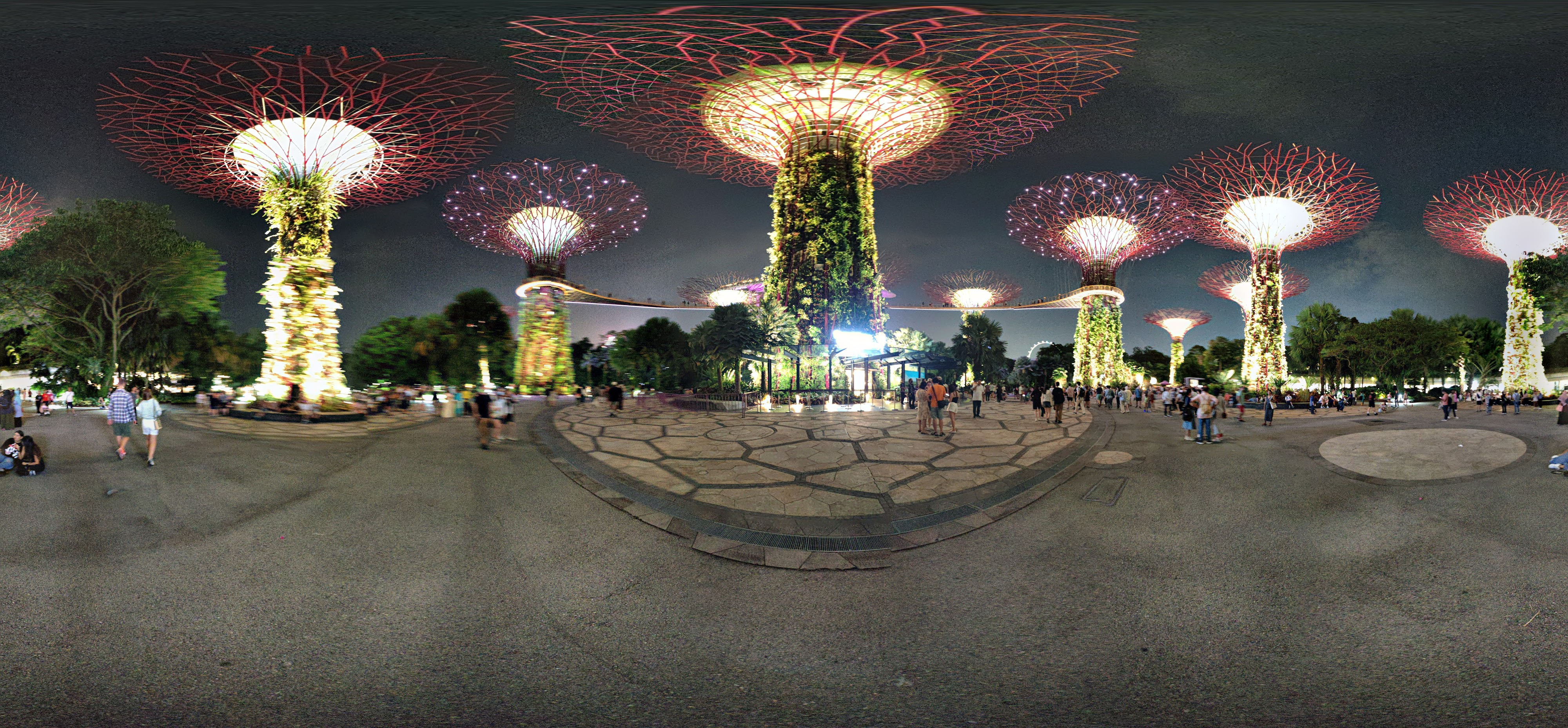 Illuminated Futuristic Trees and Path
