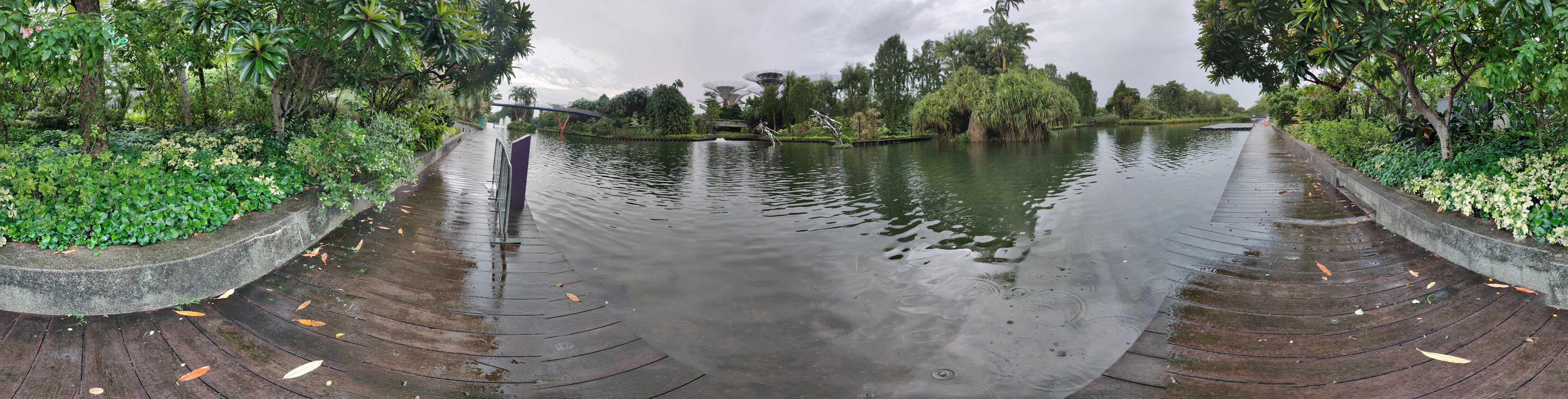 Reflective Water Pathway and Greenery