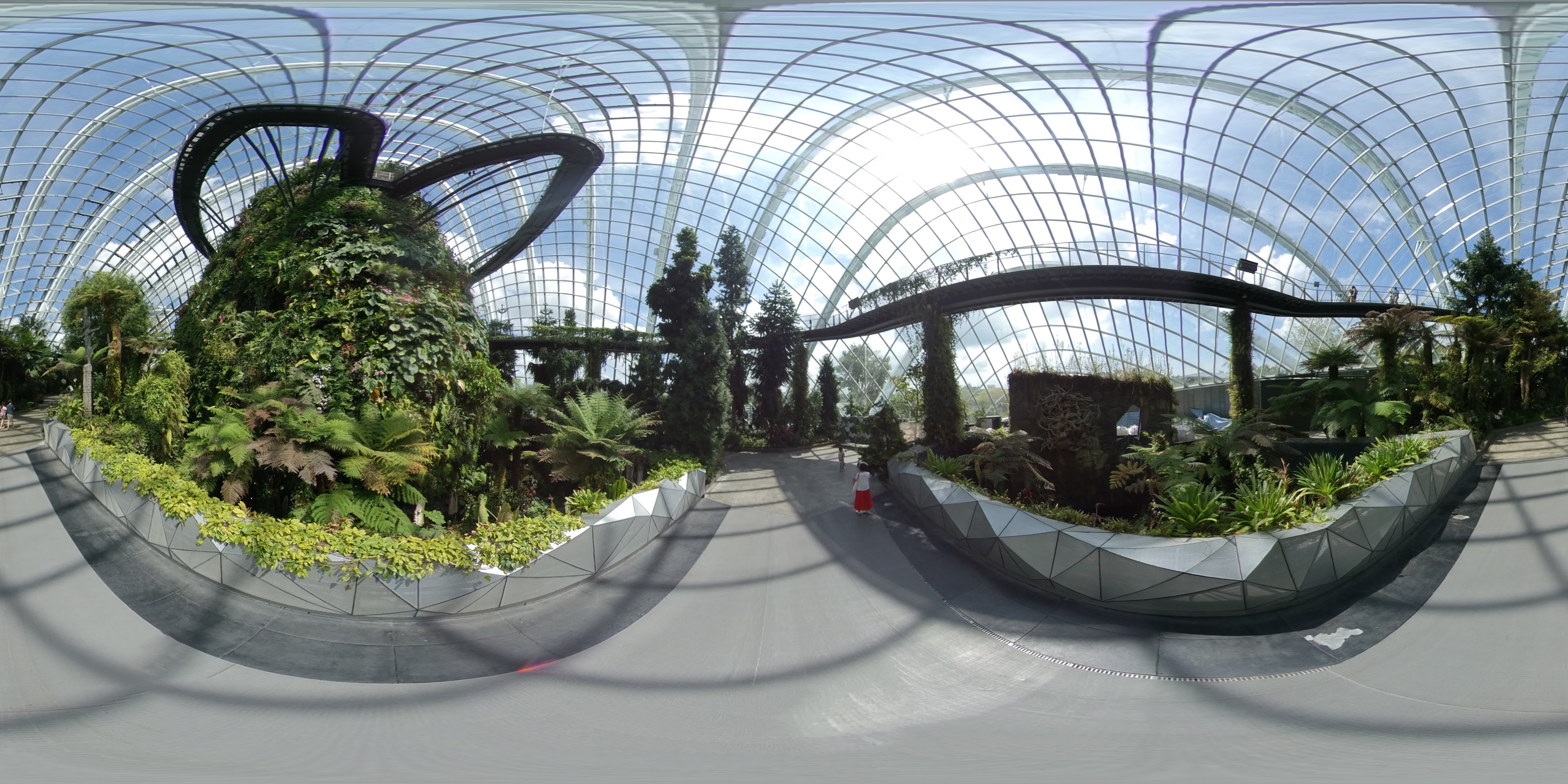 Lush Indoor Botanical Garden