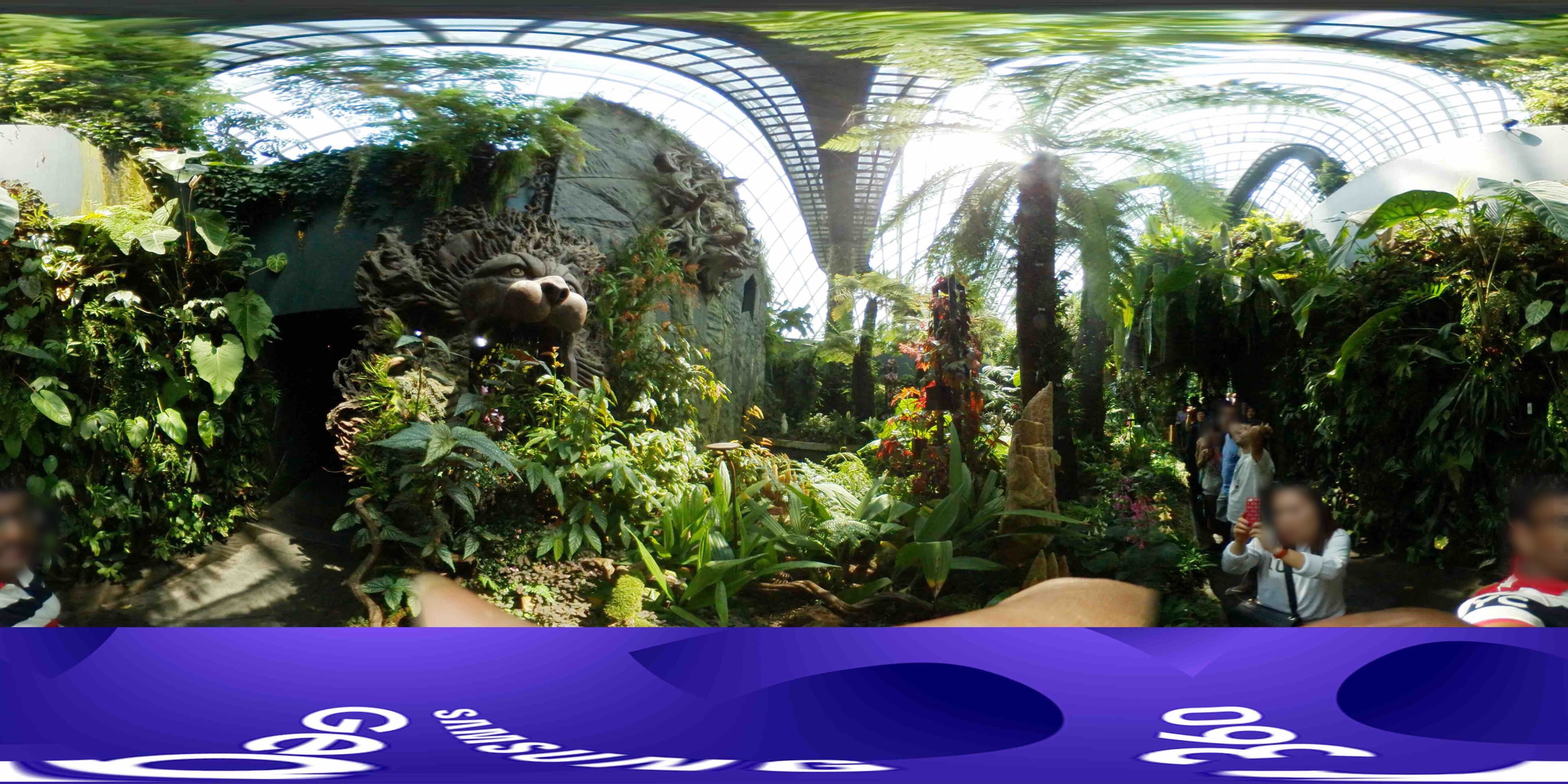 Exotic Indoor Rainforest Garden