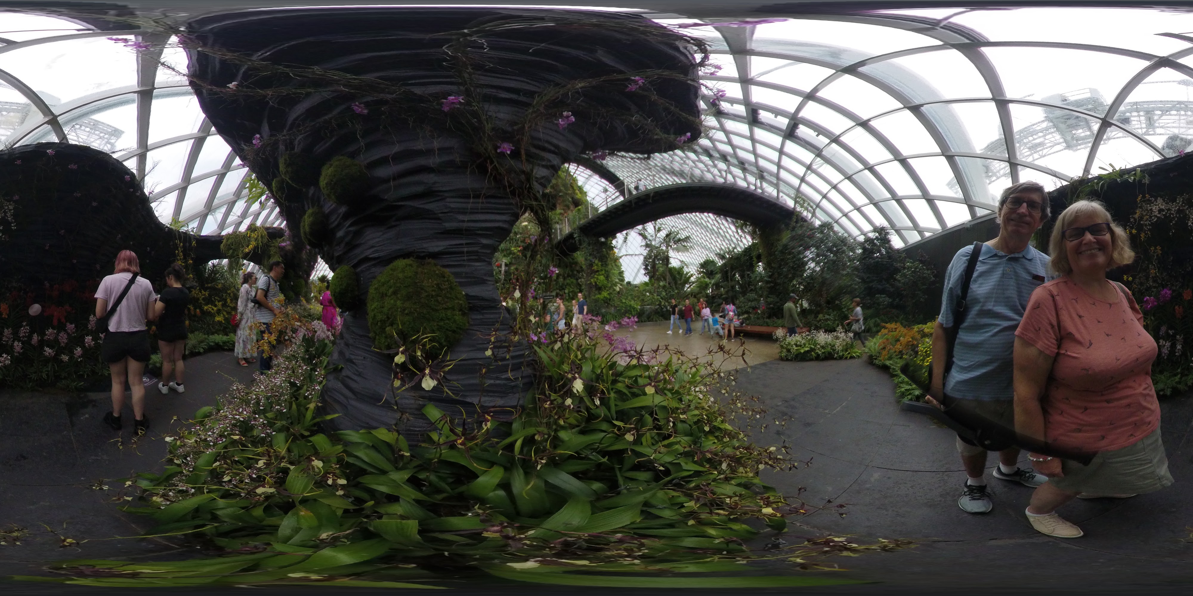 Tropical Conservatory Indoor Scene.