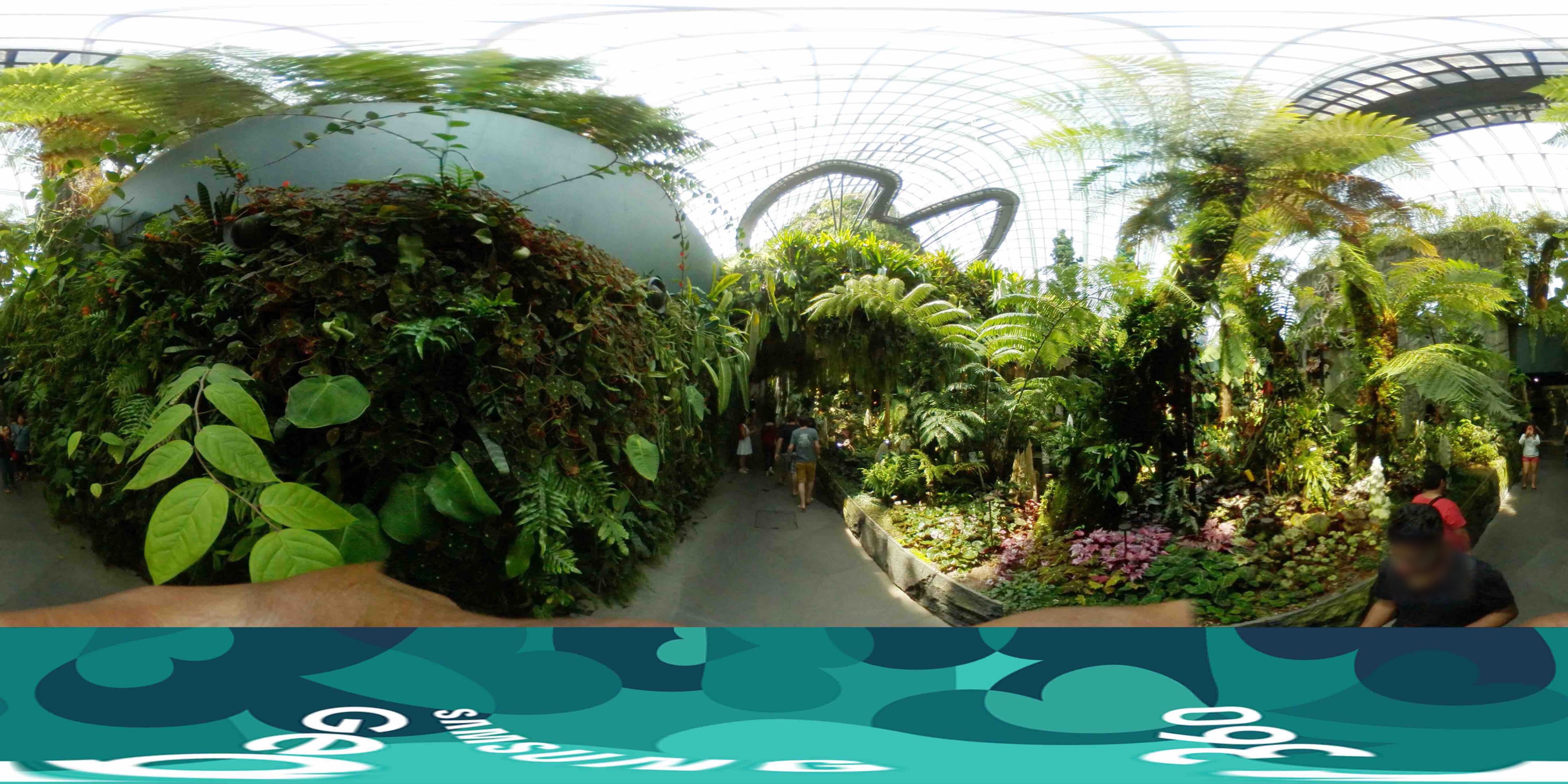Inside Tropical Greenhouse Biosphere