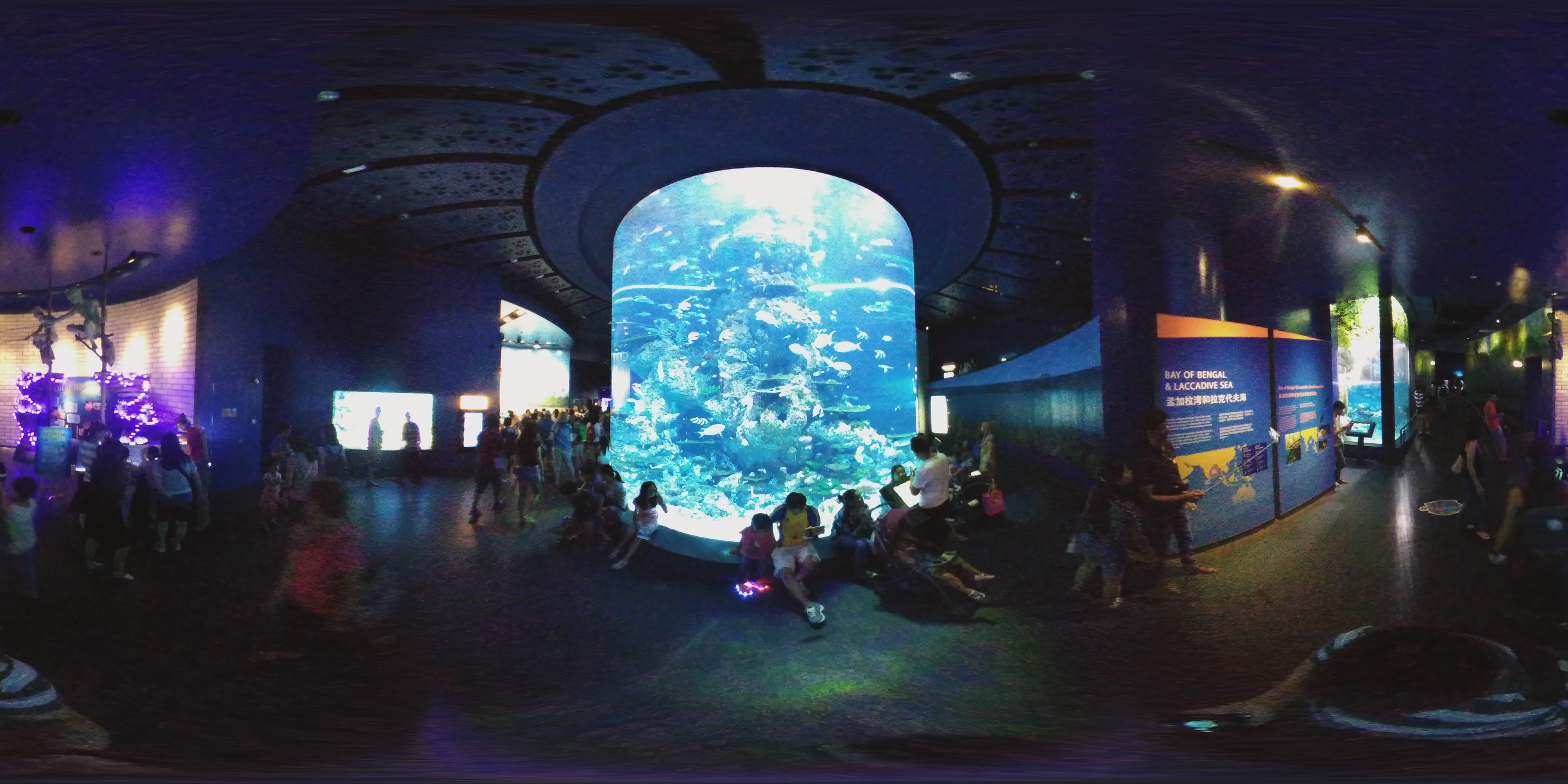 Fish Tunnel Aquarium Experience