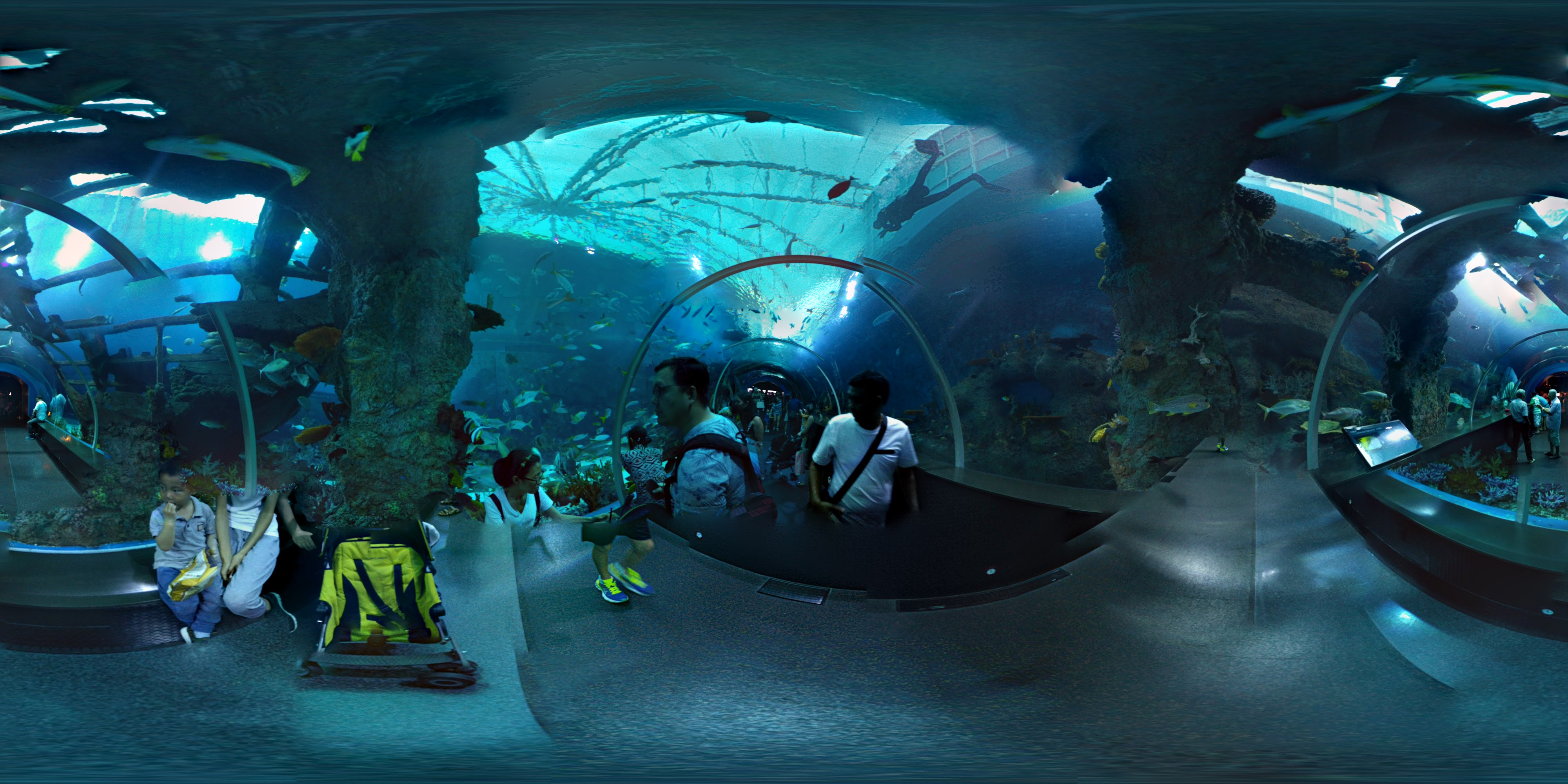 Aquatic Tunnel with Visitors